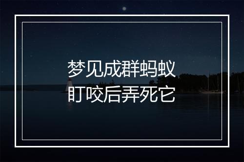 梦见成群蚂蚁盯咬后弄死它