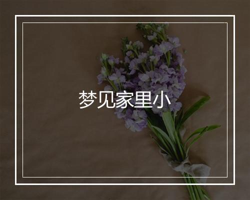 梦见家里小