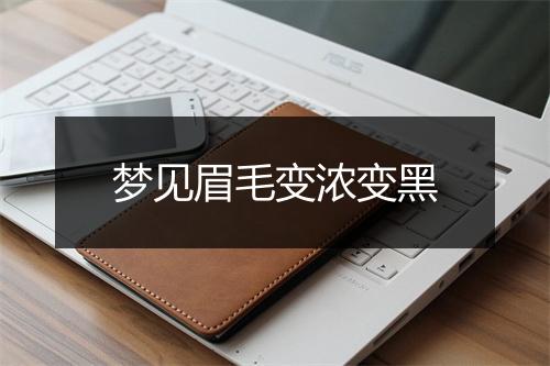 梦见眉毛变浓变黑