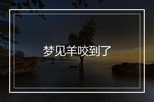 梦见羊咬到了