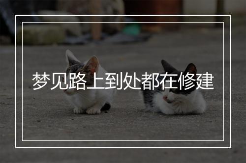 梦见路上到处都在修建