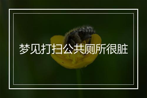 梦见打扫公共厕所很脏