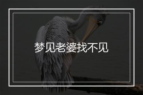 梦见老婆找不见