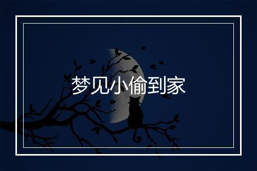 梦见小偷到家