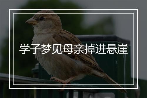 学子梦见母亲掉进悬崖