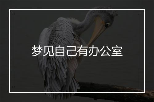 梦见自己有办公室