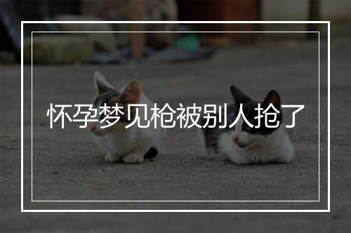 怀孕梦见枪被别人抢了