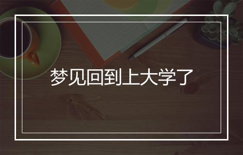 梦见回到上大学了