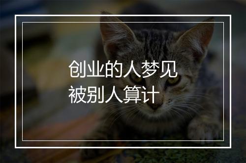 创业的人梦见被别人算计