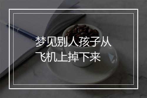 梦见别人孩子从飞机上掉下来