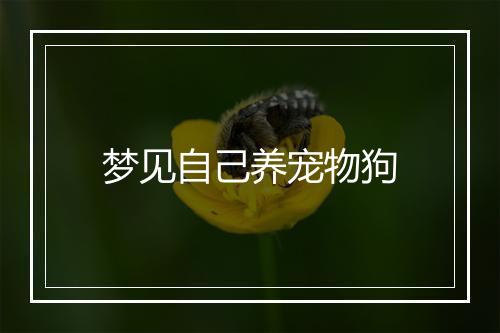 梦见自己养宠物狗