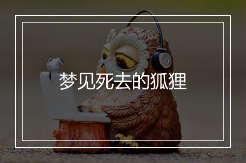 梦见死去的狐狸