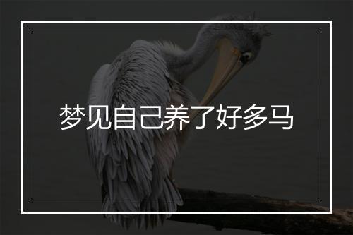 梦见自己养了好多马