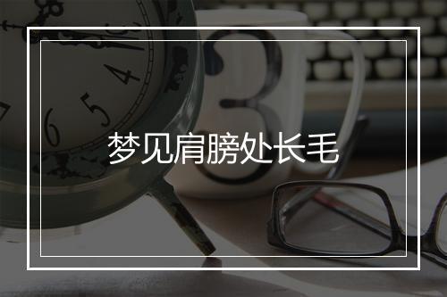 梦见肩膀处长毛