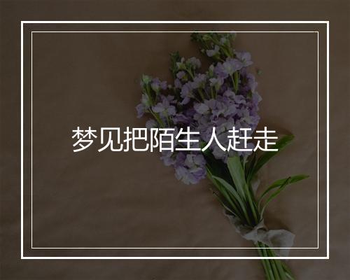 梦见把陌生人赶走