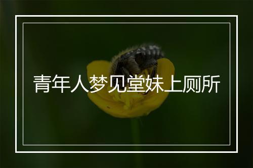 青年人梦见堂妹上厕所