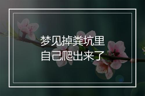 梦见掉粪坑里自己爬出来了