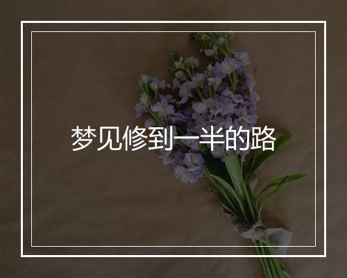 梦见修到一半的路