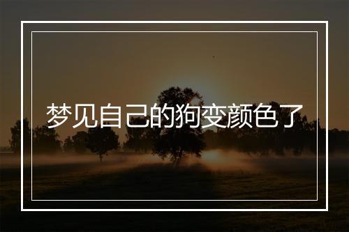 梦见自己的狗变颜色了