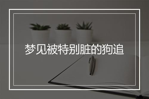 梦见被特别脏的狗追