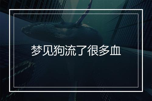 梦见狗流了很多血