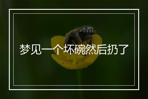 梦见一个坏碗然后扔了