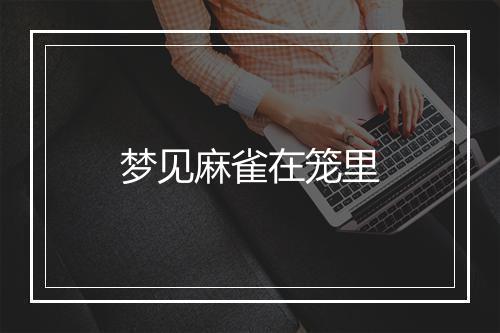 梦见麻雀在笼里