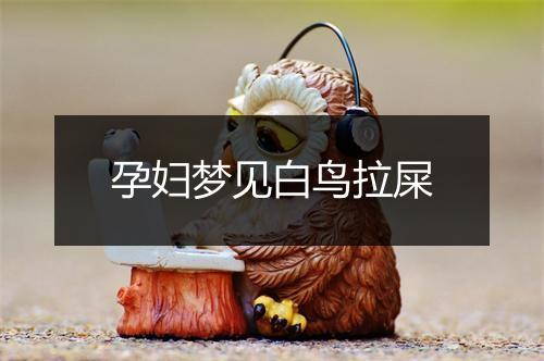 孕妇梦见白鸟拉屎