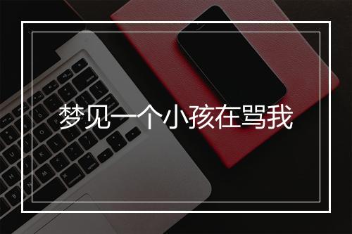 梦见一个小孩在骂我