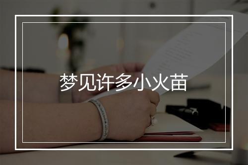 梦见许多小火苗