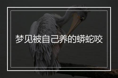 梦见被自己养的蟒蛇咬