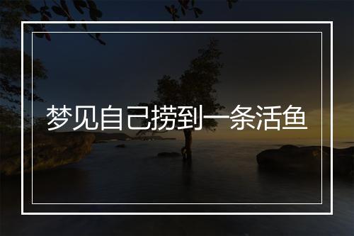 梦见自己捞到一条活鱼