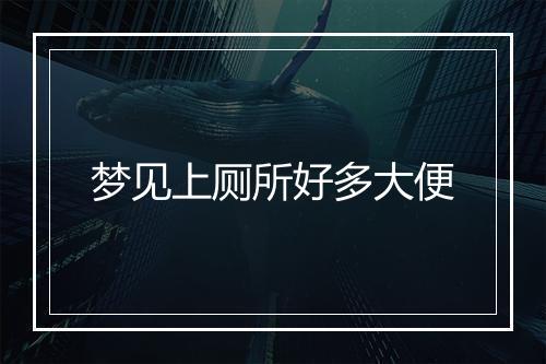 梦见上厕所好多大便