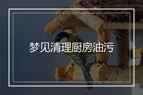 梦见清理厨房油污