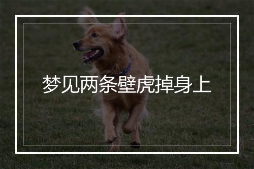 梦见两条壁虎掉身上