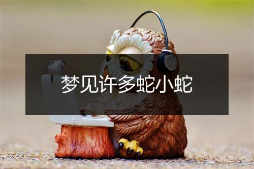 梦见许多蛇小蛇