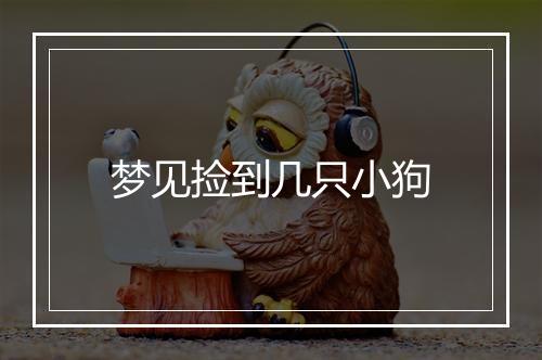 梦见捡到几只小狗