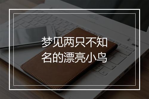 梦见两只不知名的漂亮小鸟