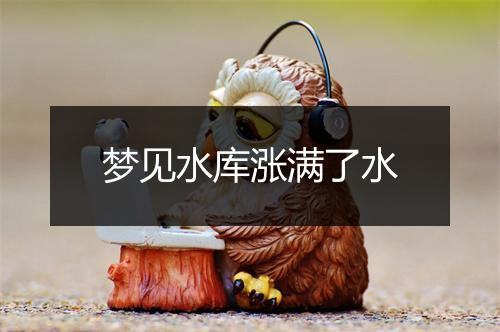 梦见水库涨满了水