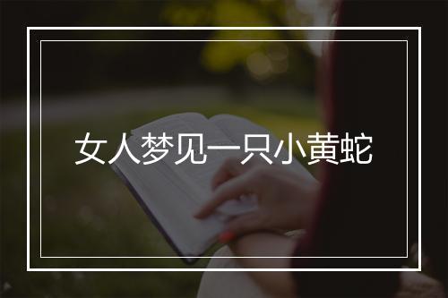 女人梦见一只小黄蛇