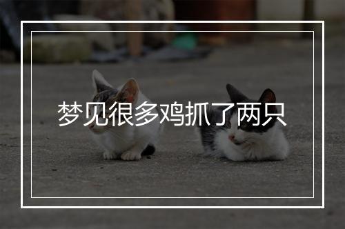 梦见很多鸡抓了两只