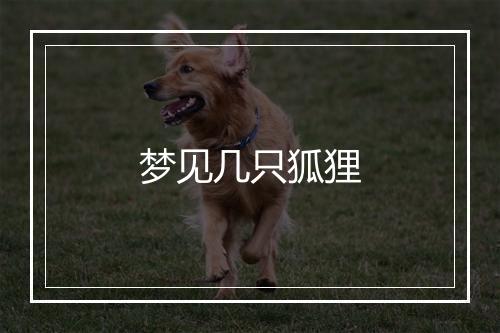 梦见几只狐狸