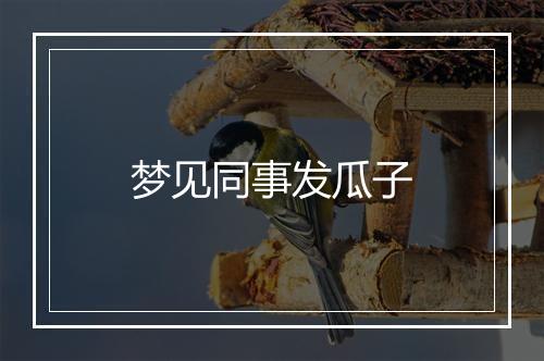 梦见同事发瓜子