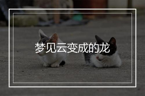 梦见云变成的龙