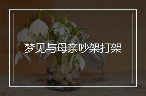 梦见与母亲吵架打架