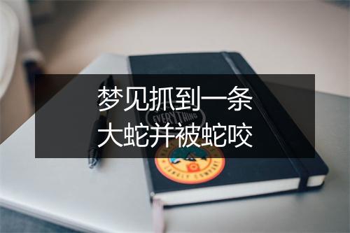 梦见抓到一条大蛇并被蛇咬