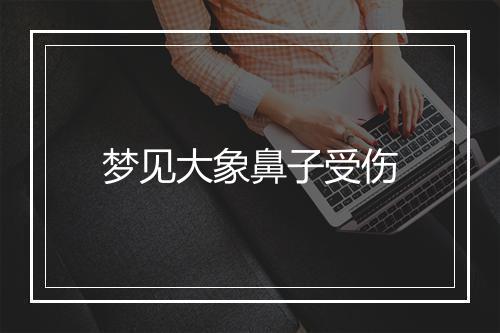 梦见大象鼻子受伤