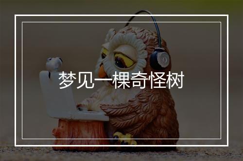 梦见一棵奇怪树