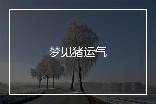 梦见猪运气