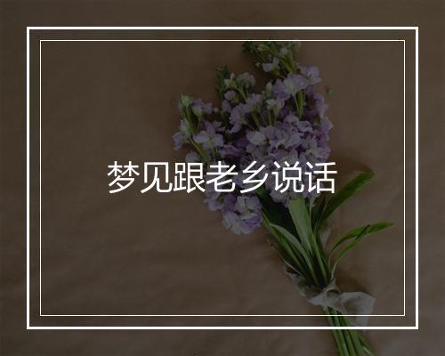 梦见跟老乡说话